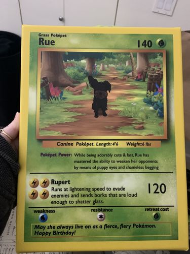 Customer photo review of PokePet Canvas