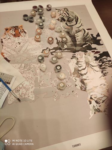 Customer photo review of ¡Regalo Gratis!