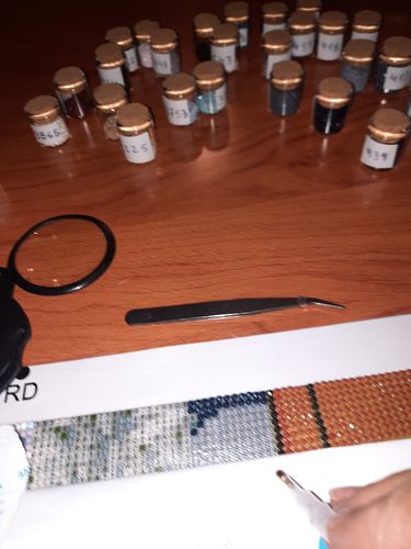 Customer photo review of Gatito