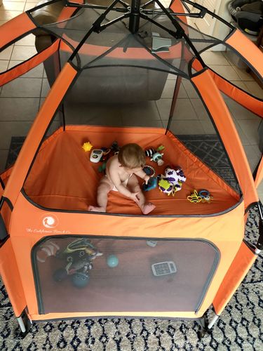 Customer photo review of Pop N' Go® Playpen