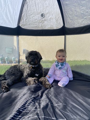 Customer photo review of Pop N' Go® Playpen