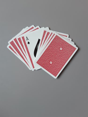 Customer photo review of DMC ELITES: V Playing Cards