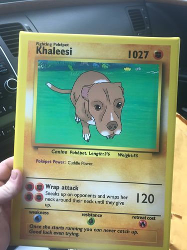Customer photo review of Pokepet