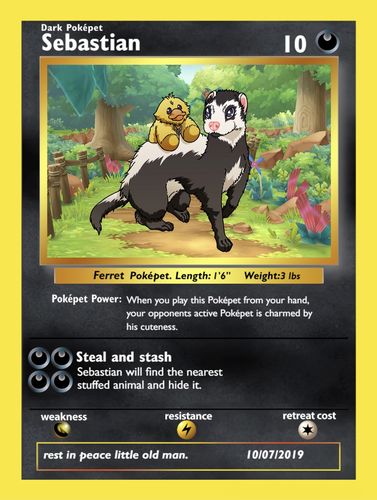 Customer photo review of Number of Pokepets and Trainers