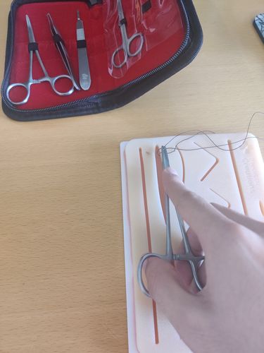 Customer photo review of Suture Practice Kit