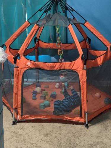 Customer photo review of Pop N' Go® Playpen