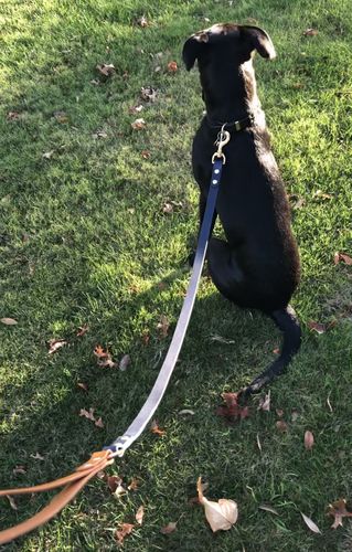 Customer photo review of Classic Leather Dog Lead - Custom Made