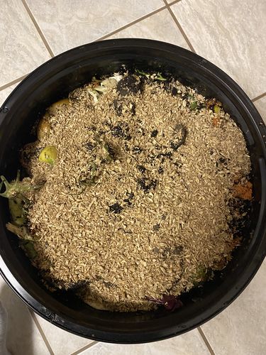 Customer photo review of BierKashi Composting System (with BierKashi Bokashi)