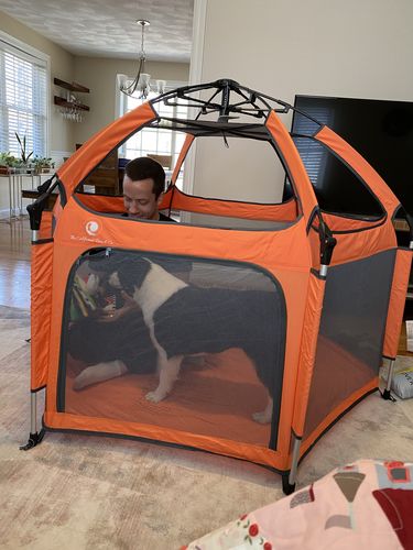 Customer photo review of Pop N' Go® Playpen