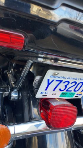 Customer photo review of The Original Bike Buddy