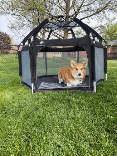 Customer photo review of Pop N' Go® Playpen