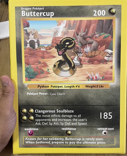 Customer photo review of PokePet Canvas