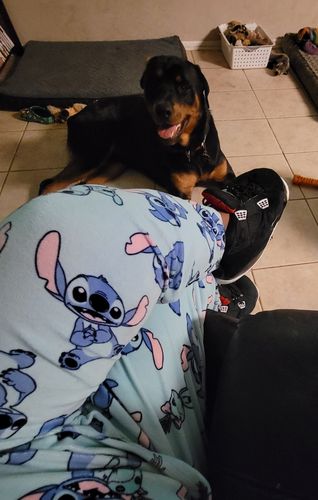 Customer photo review of J4 BRED