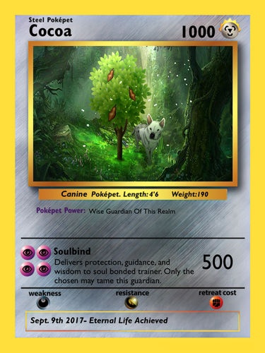 Customer photo review of Custom background