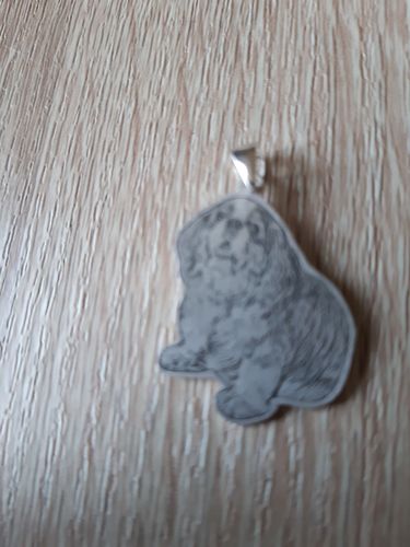 Customer photo review of Collier Personnalisé en Argent