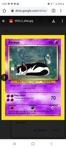 Customer photo review of Pokepet