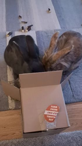 Customer photo review of Taster Pack