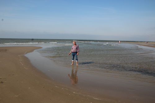 Customer photo review of FansGemacht Atmungsaktive Modeschutzschuhe für Herren