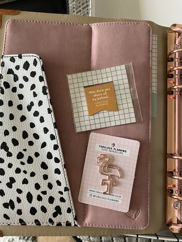 Customer photo review of Dalmatian - Productivity Organiser P3
