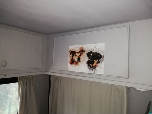 Customer photo review of Wasserfarben Pawtrait