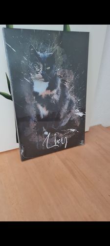 Customer photo review of Graffiti Pawtrait