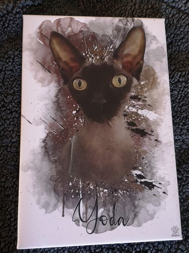 Customer photo review of Graffiti Pawtrait