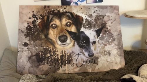 Customer photo review of Aquarell Pawtrait