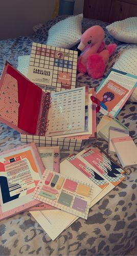 Customer photo review of Candy Cane Organiser - P3 Stationery Bundle