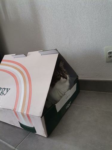 Avis photo d'un client sur Pâtée Chat Stérilisé Sans Céréales - Saumon
