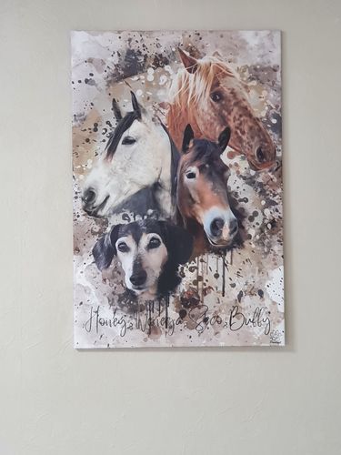 Customer photo review of Aquarell Pawtrait