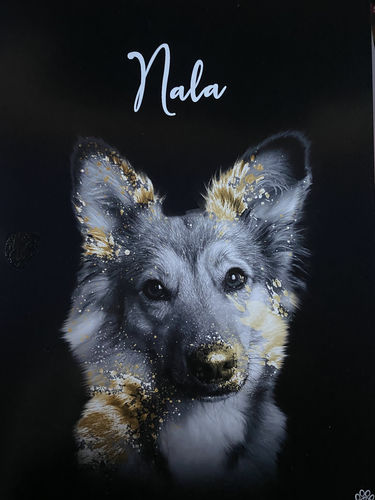 Customer photo review of Gold Pawtrait