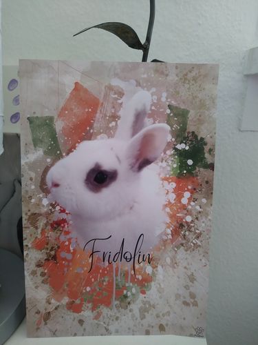 Customer photo review of Aquarell Pawtrait