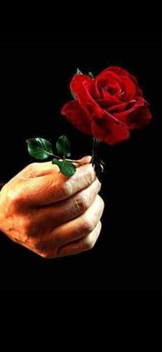 Customer photo review of Mein neues Buch: "Weil ich es WERT bin!"