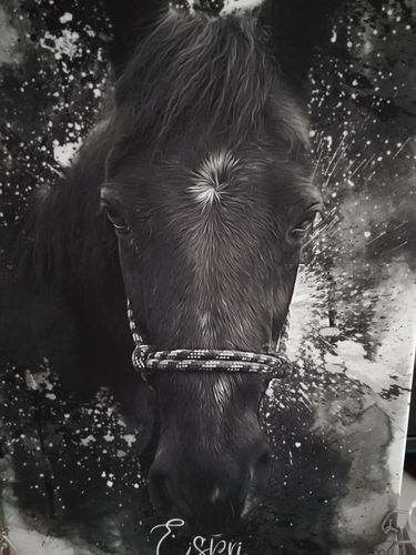Customer photo review of Graffiti Pawtrait