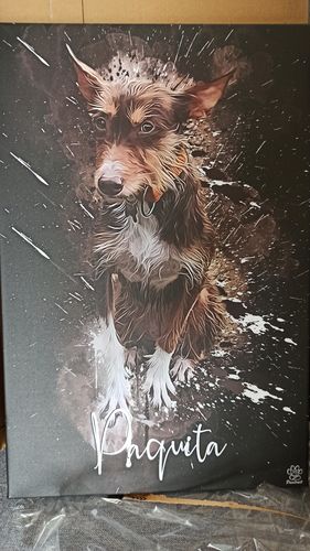 Customer photo review of Graffiti Pawtrait