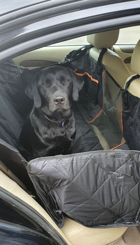 Customer photo review of Waterproof Dog Car Seat Cover