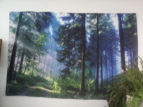 Customer photo review of Rewind Greens 30-Day Supply