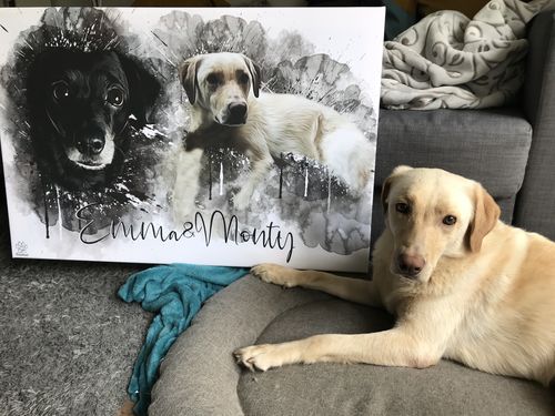 Customer photo review of Graffiti Pawtrait
