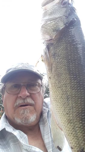 Customer photo review of Headbanger Spitfire 4.5"