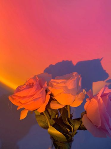 Customer photo review of The Sunset Projector™