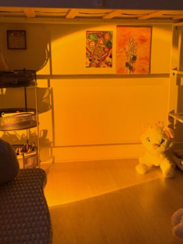 Customer photo review of The Sunset Projector™