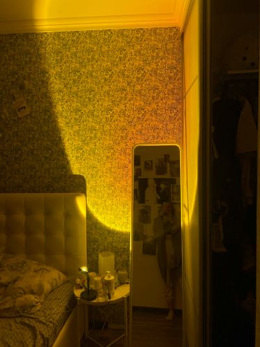 Customer photo review of The Sunset Projector™