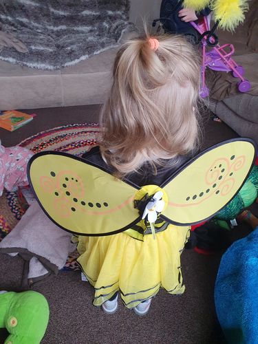 Customer photo review of Ballerina Honey Bee 4-Piece Fancy Dress Costume