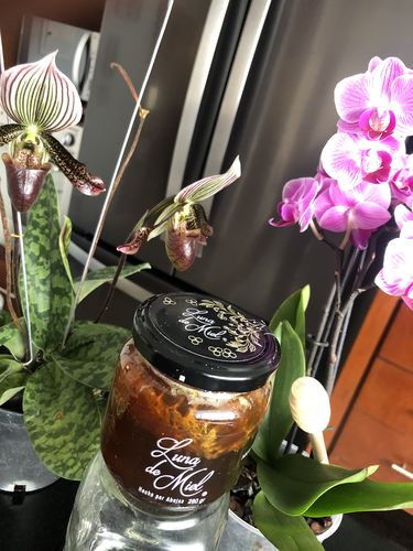 Customer photo review of Luna de miel con panal de abejas