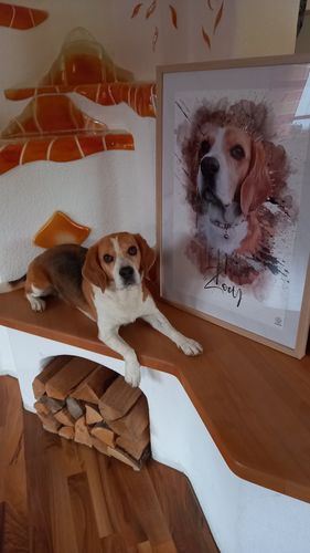 Customer photo review of Graffiti Pawtrait