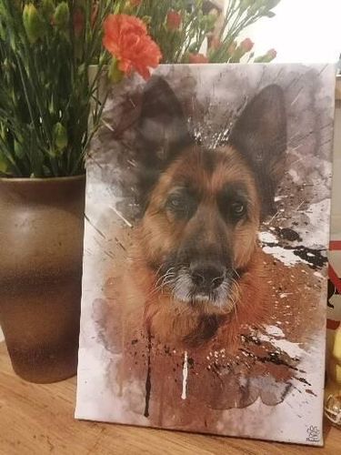 Customer photo review of Graffiti Pawtrait