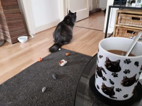 Customer photo review of Mug Personnalisé Chat