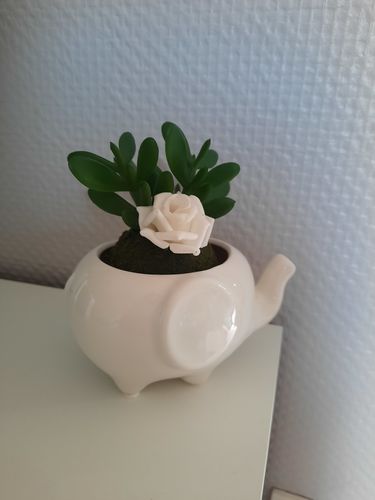 Customer photo review of Statue Éléphant Pot de Fleur