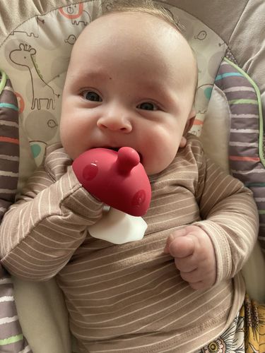 Customer photo review of Mombella Soothing Mushroom Teether - Chimney Red