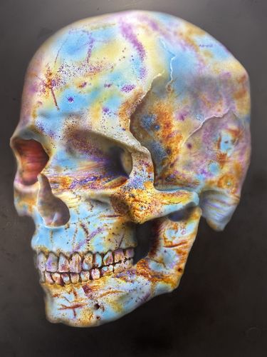 Customer photo review of Shipping Label